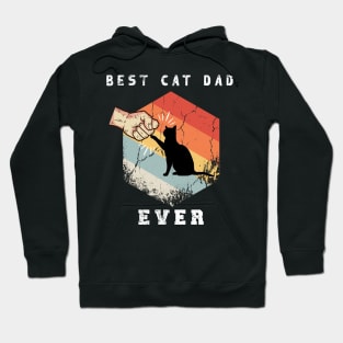 Best cat dad ever - Father vintage cat dad ever gift Hoodie